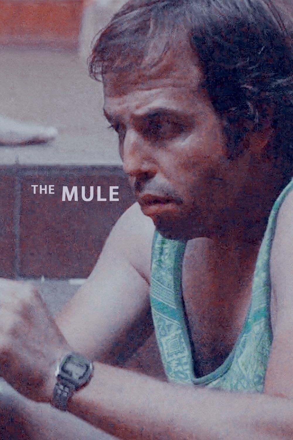The Mule