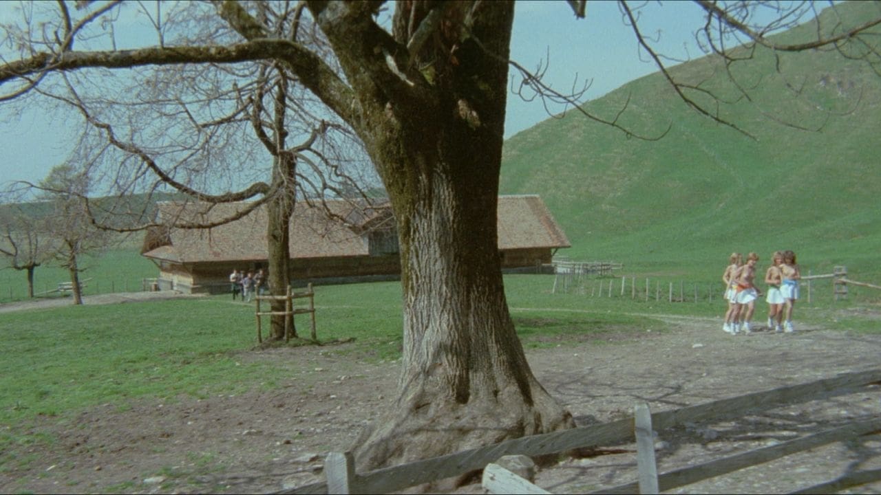 Sechs Schwedinnen auf der Alm