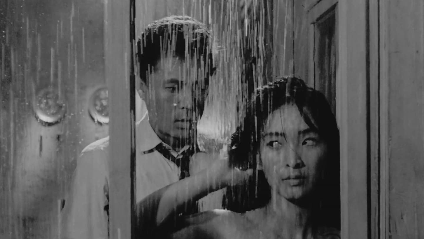 Pokojówka (1960)
