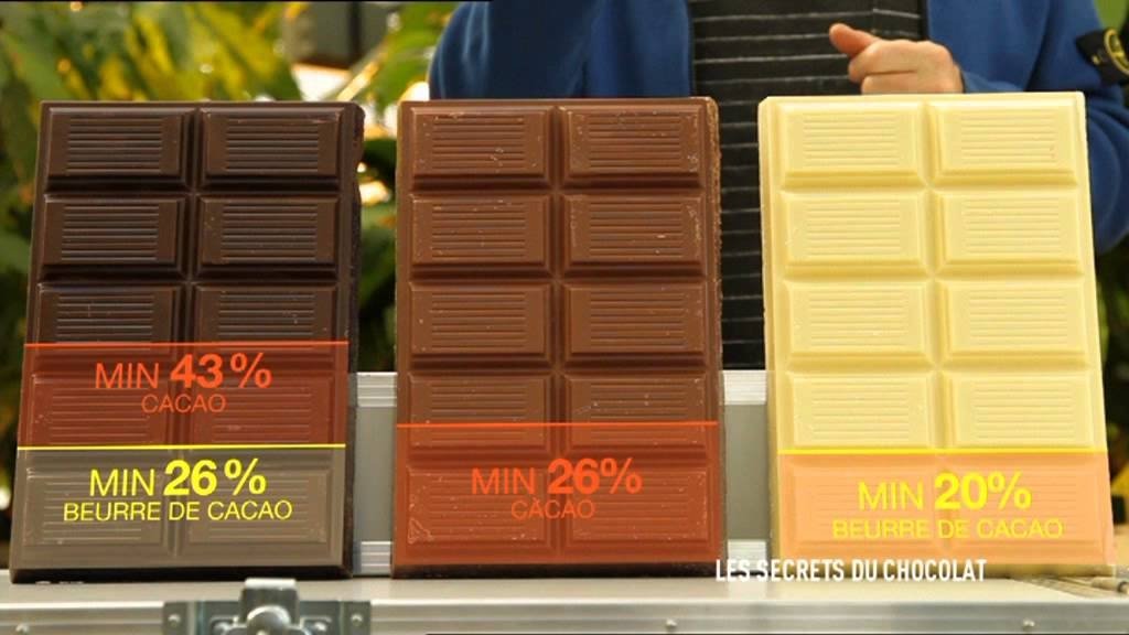 C'est pas sorcier - Les secrets du chocolat