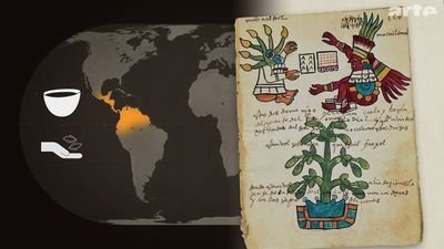 Mapping the World