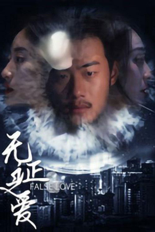 Plakat, der markedsfører 无证之爱