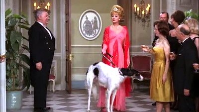 The Lucy Show