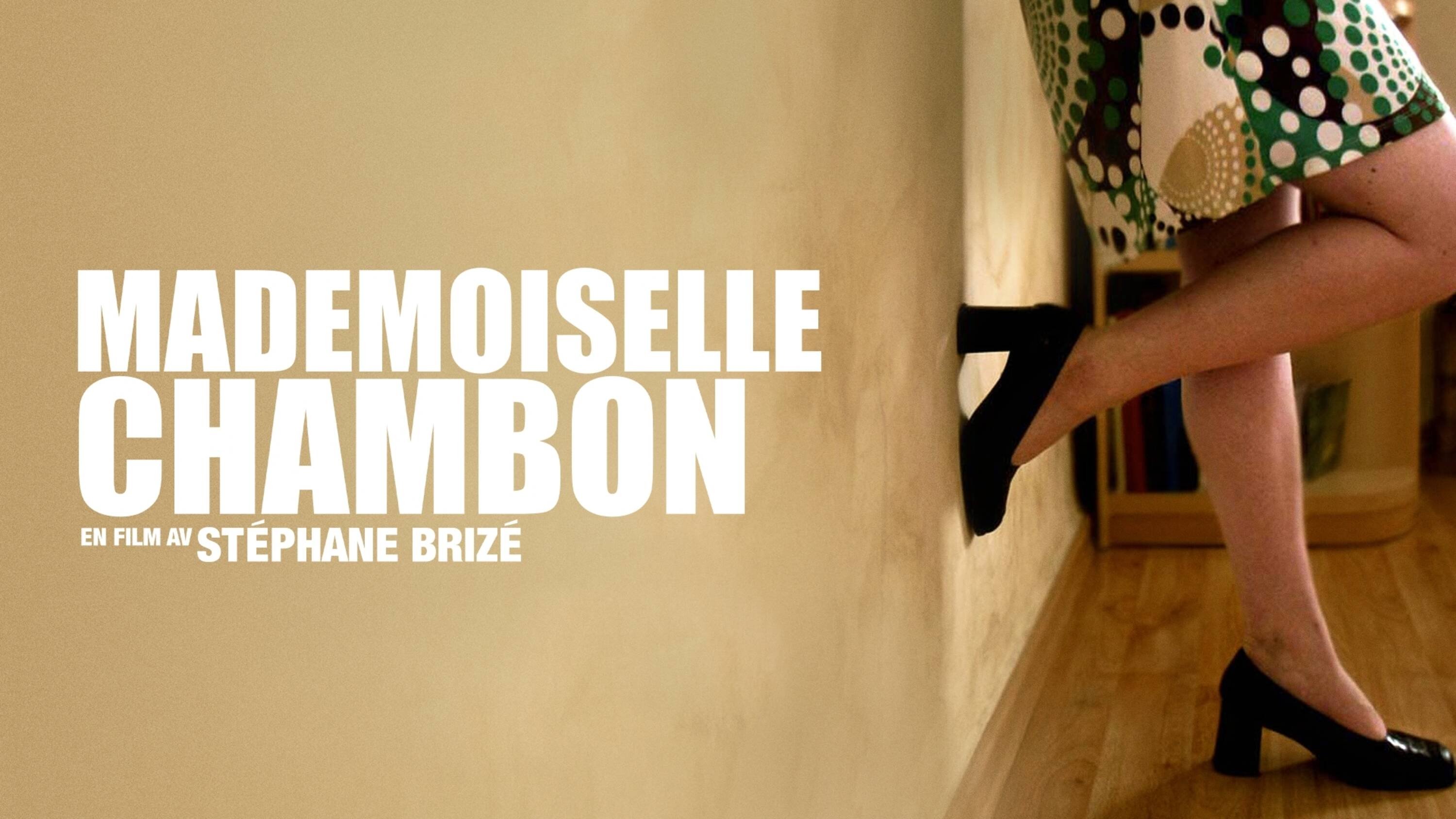 Mademoiselle Chambon (2009)