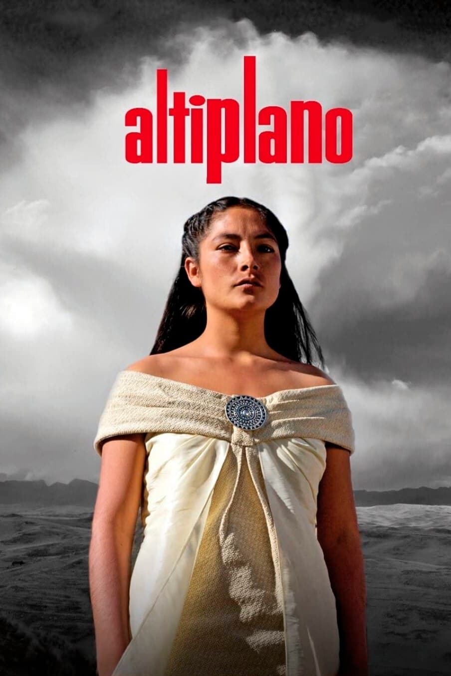 Affiche du film Altiplano 27500