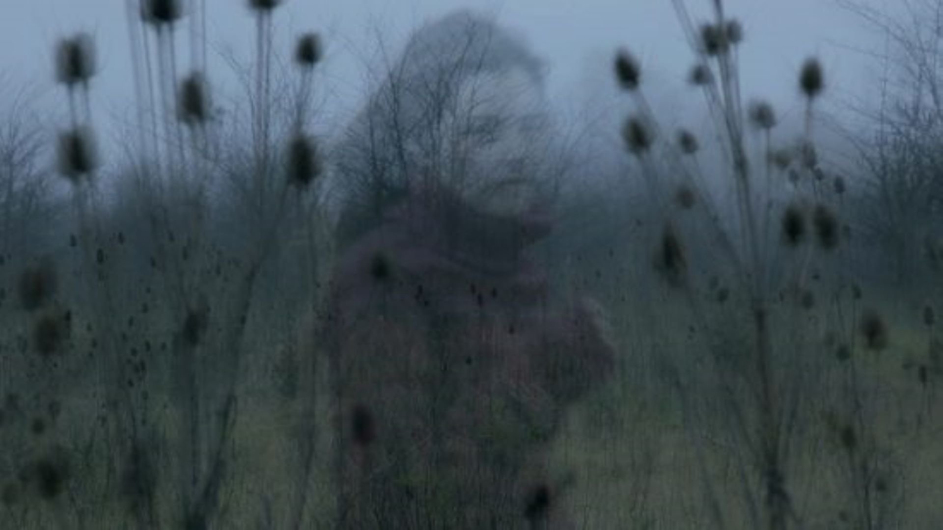 Ghosts (2013)