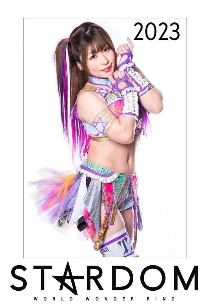 Stardom on Stardom World - Season 13
