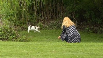 Race From The White House 2004