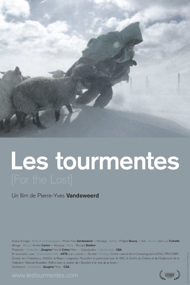 Affiche du film Les Tourmentes 138816