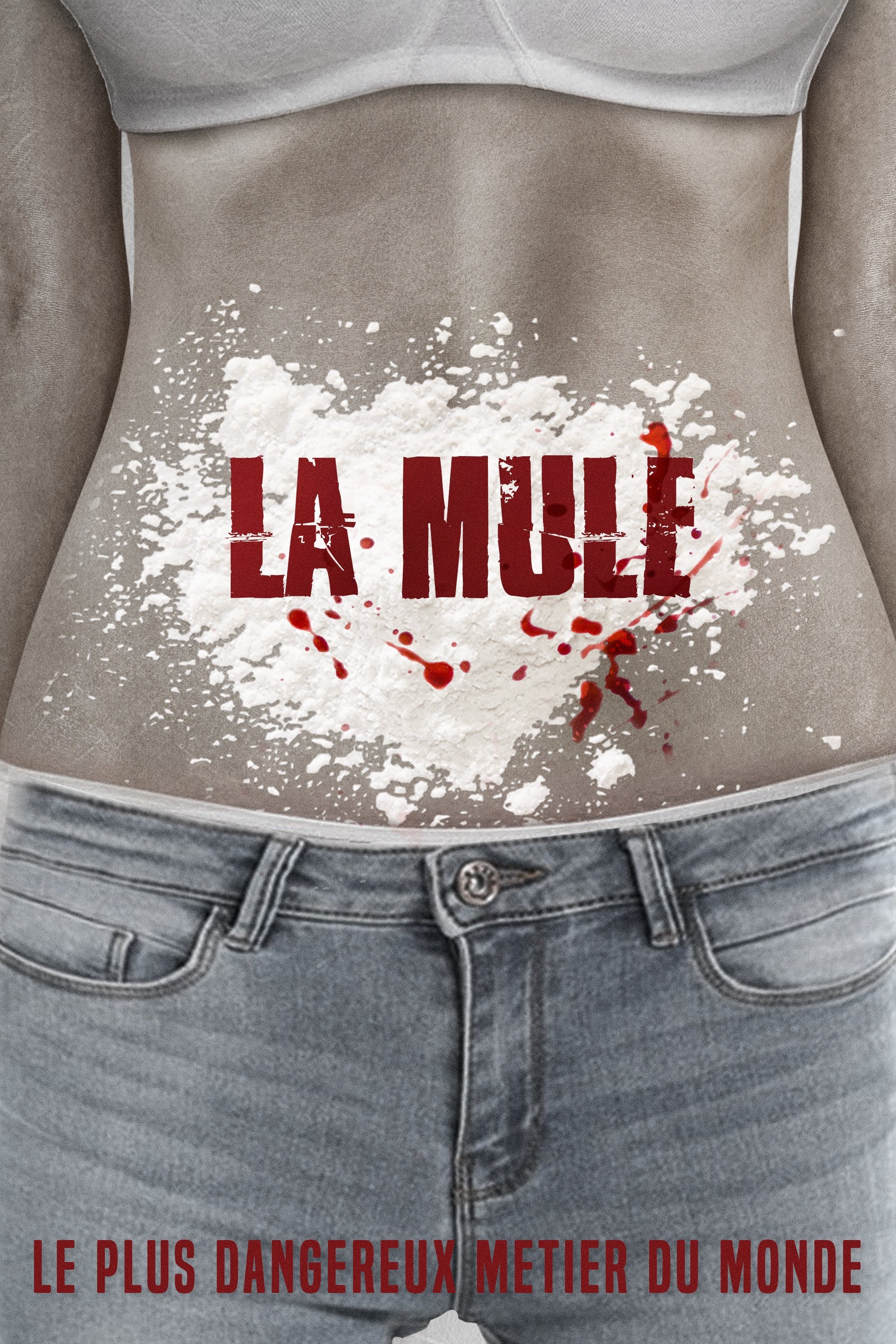 Affiche du film Vargur : la mule 140671