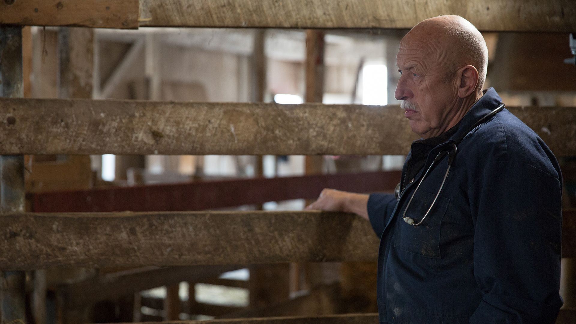 The Incredible Dr. Pol