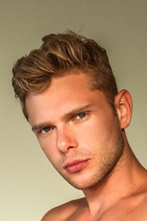 et billede af Vladimir Stark