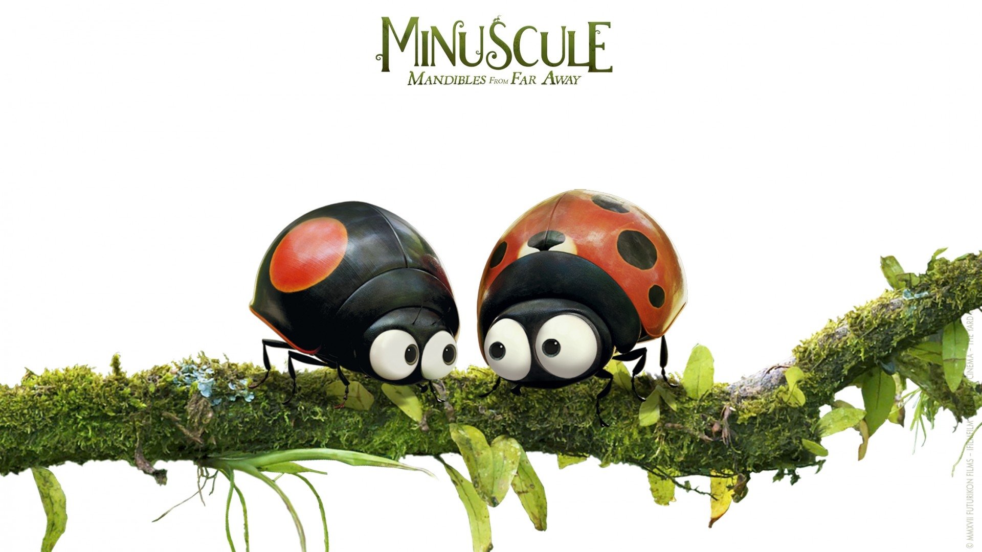 Minuscule 2 - Les mandibules du bout du monde (2019)