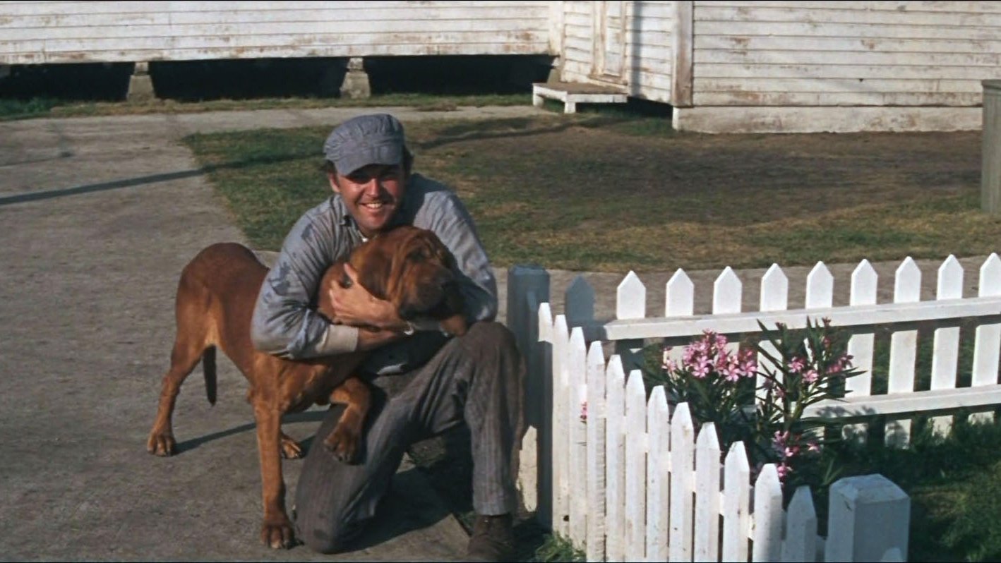 Cool Hand Luke (1967)