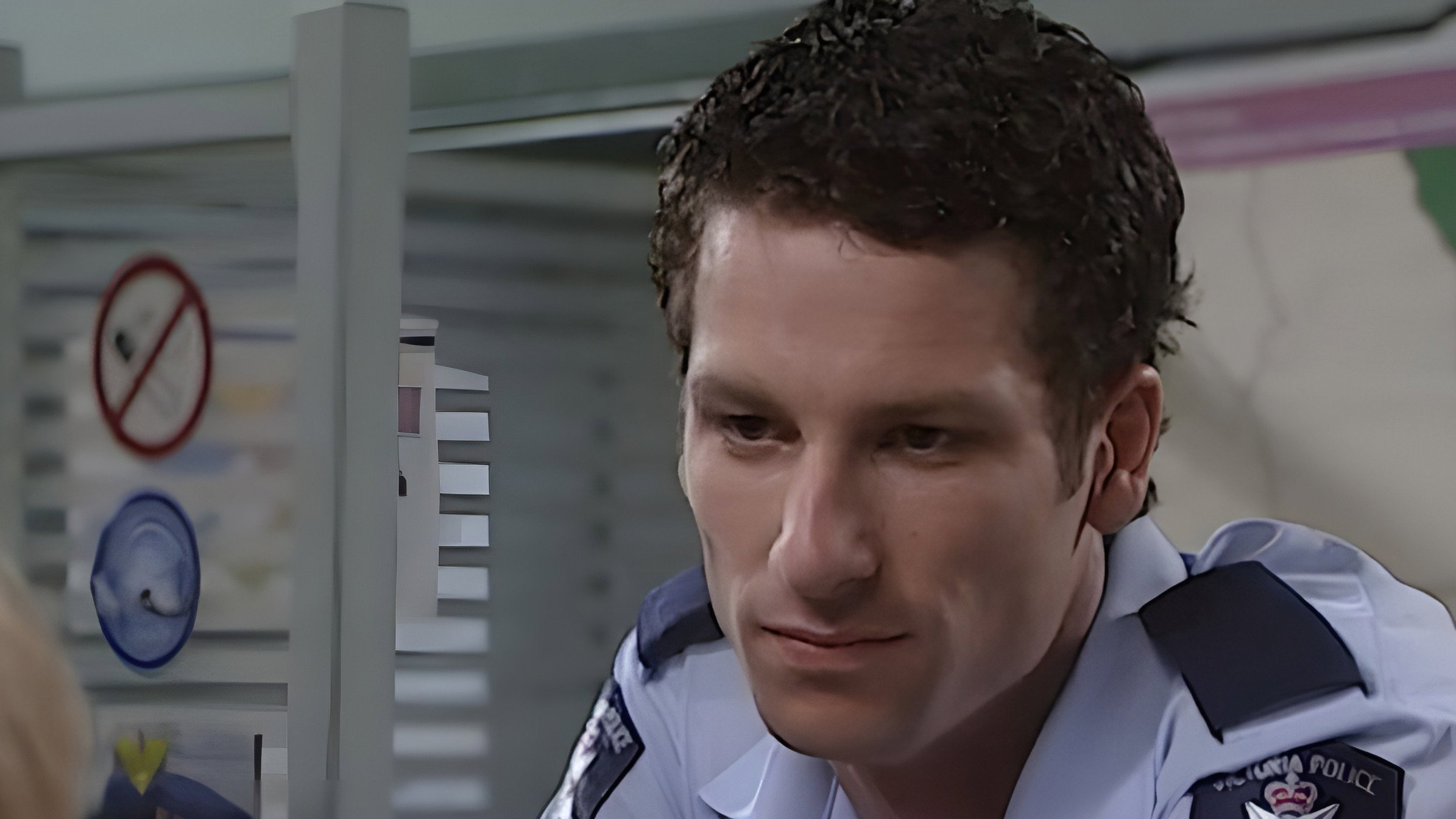 Blue Heelers backdrop
