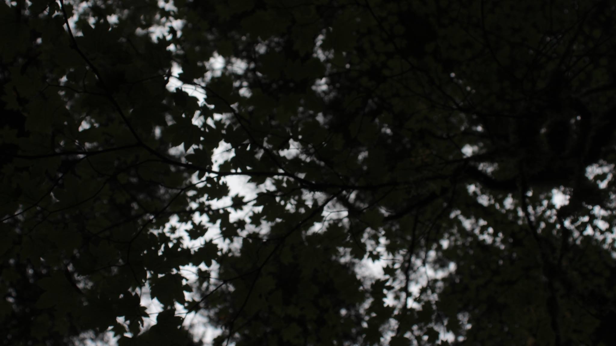 Reclamation (2018)