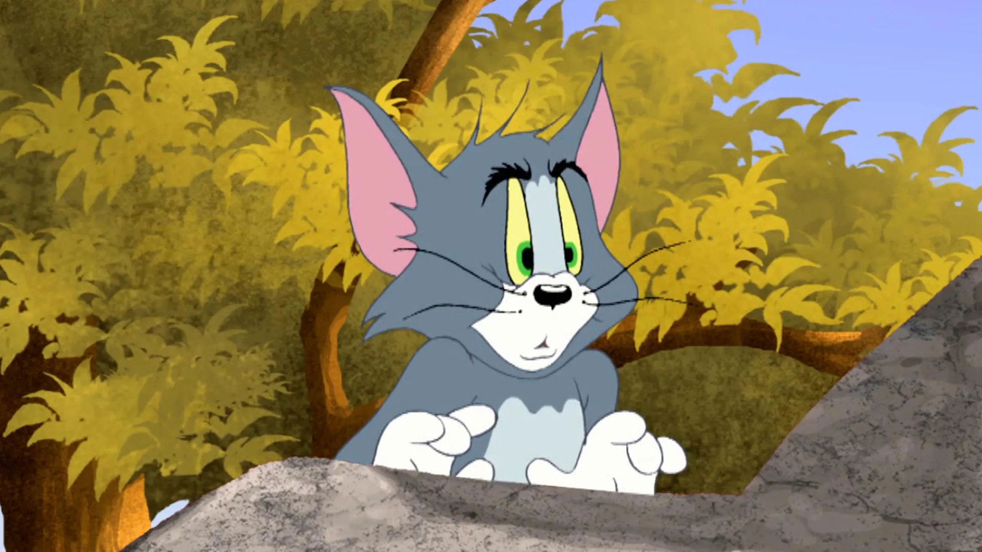 Tom et Jerry Tales - Amour tropical