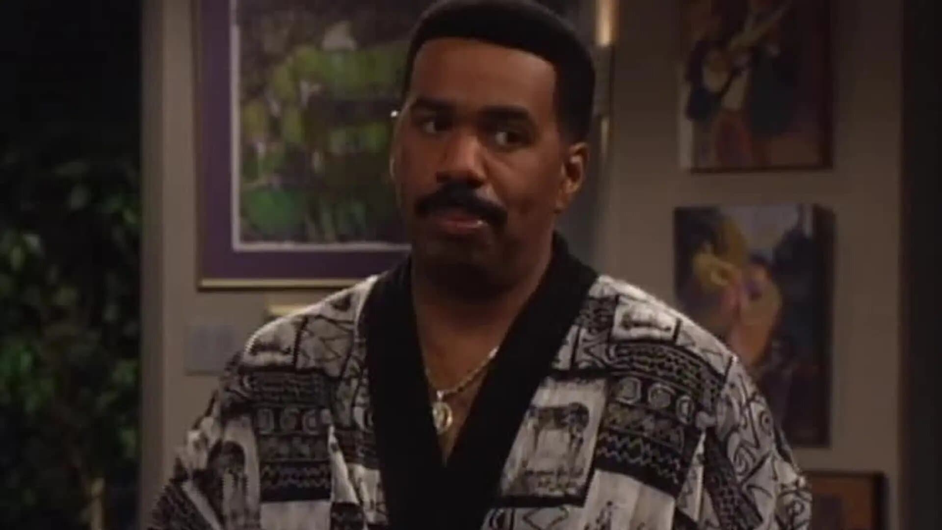 The Steve Harvey Show