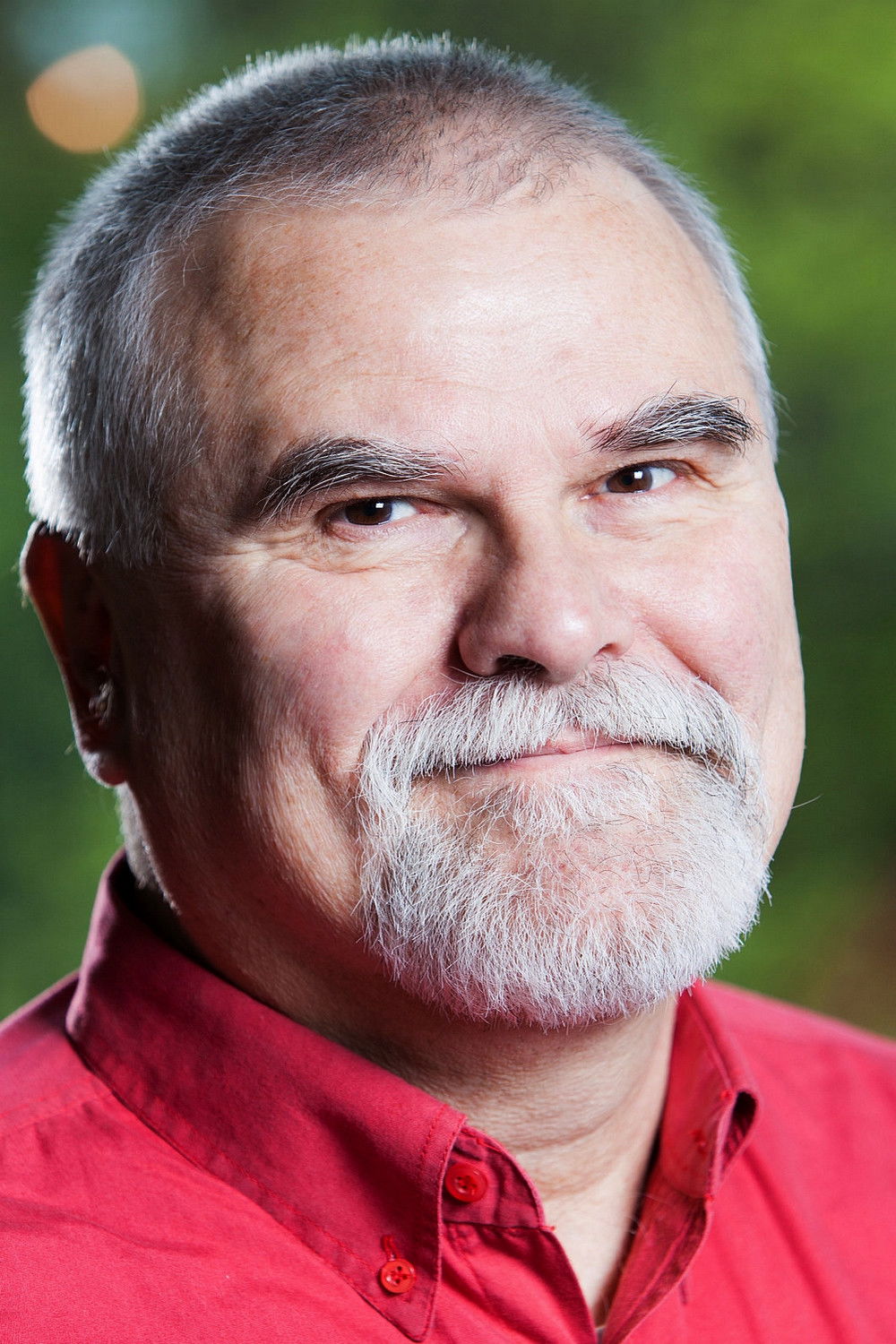 et billede af Pálfi Zoltán