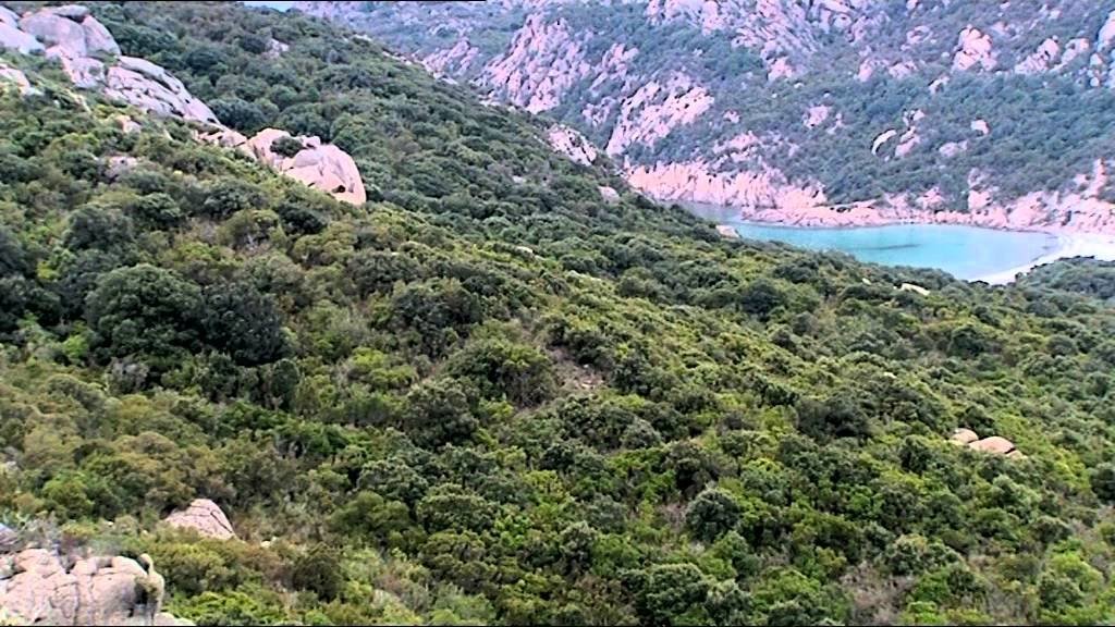 C'est pas sorcier - La Corse : l'île aux mille beautés