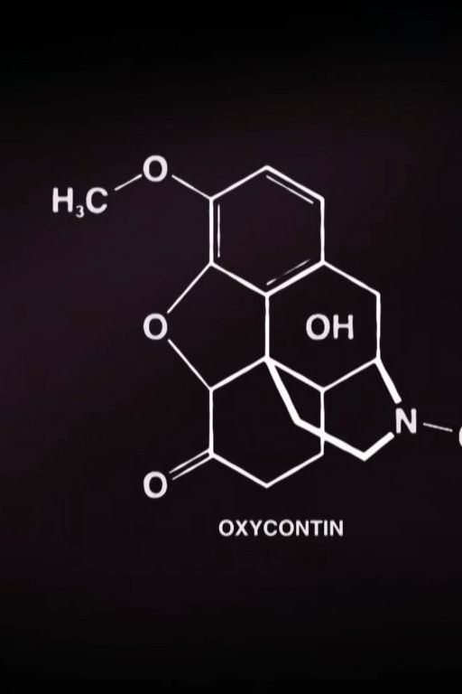 The Opioid Crisis in the U.S. – Business and Addiction