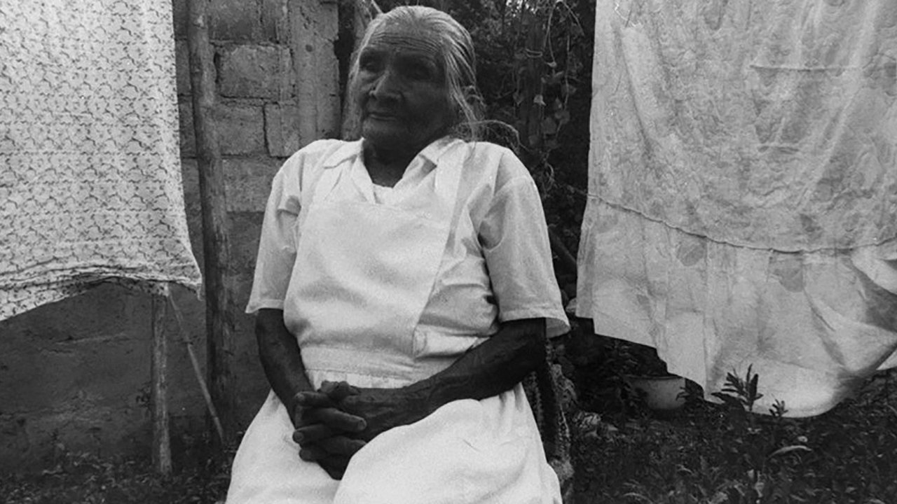 Zapata's Path (2001)