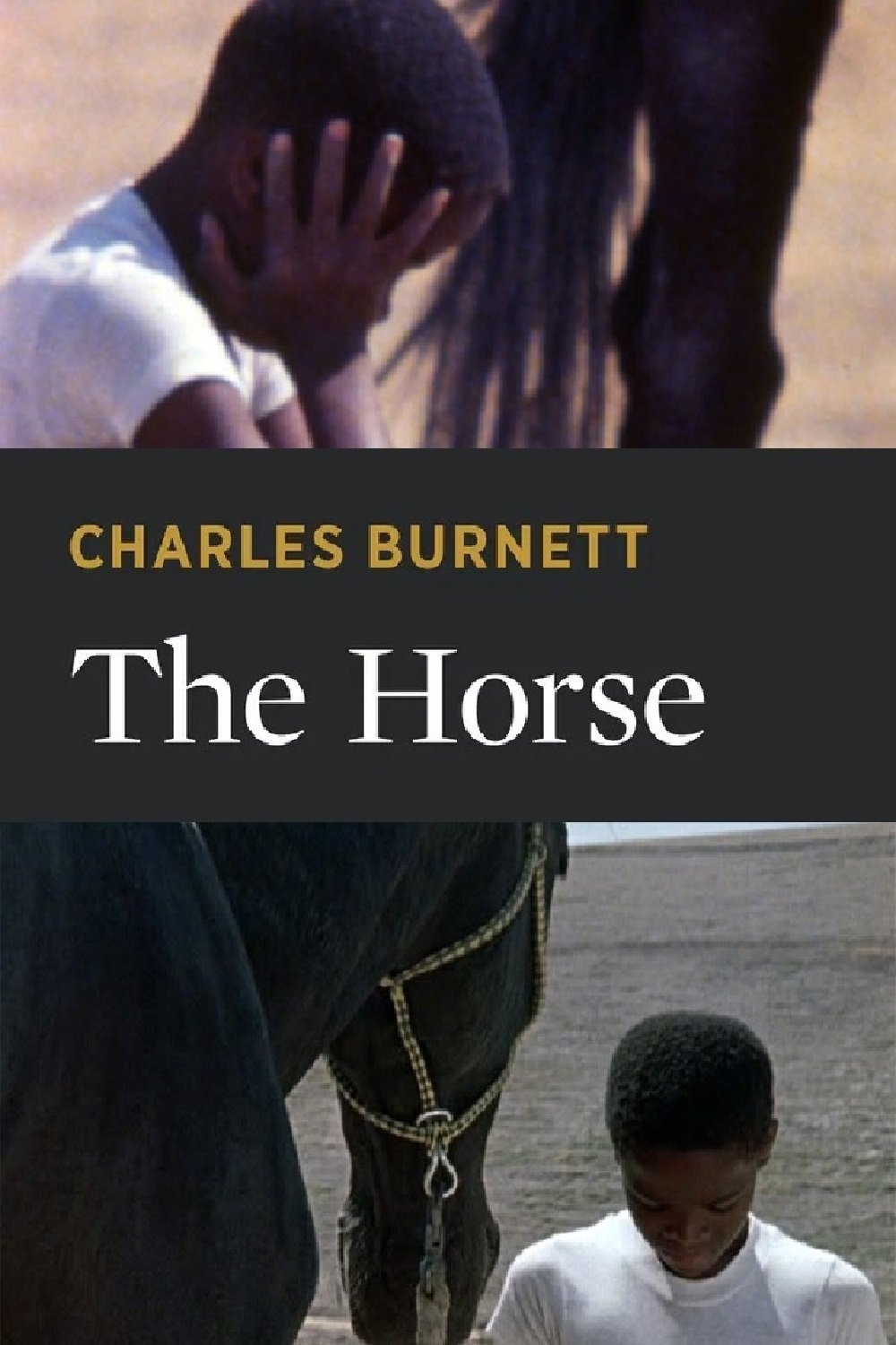 The Horse