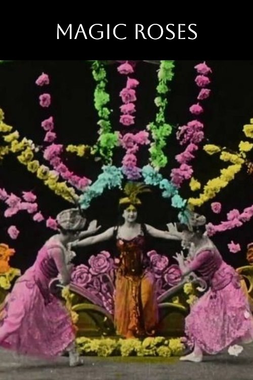 Magic Roses