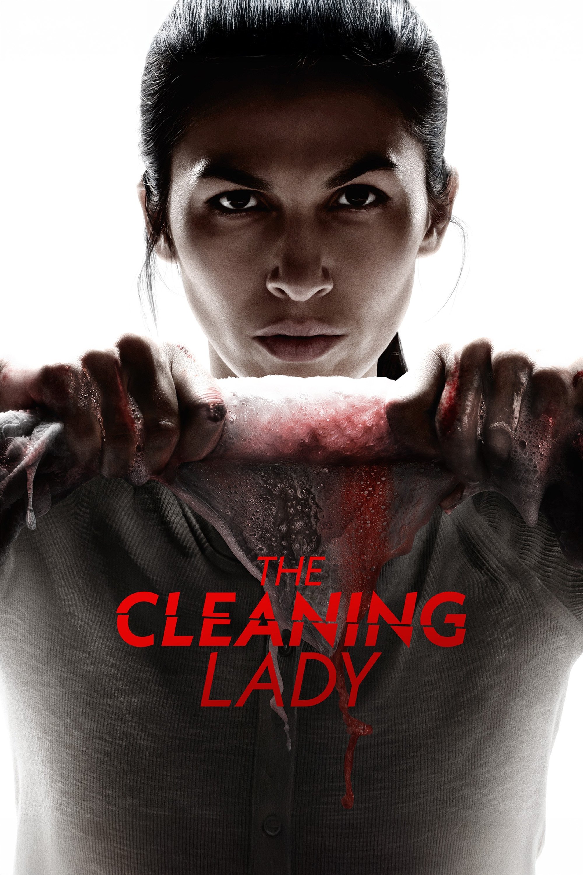 The Cleaning Lady - S4