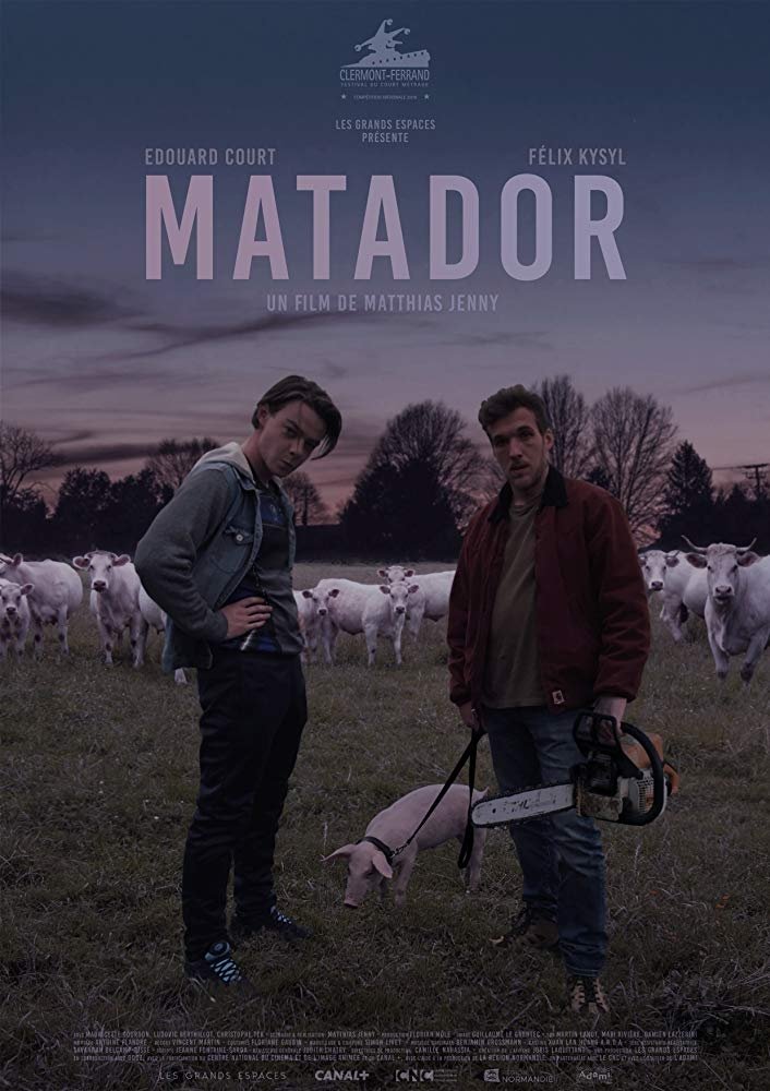 Affiche du film Matador 139107