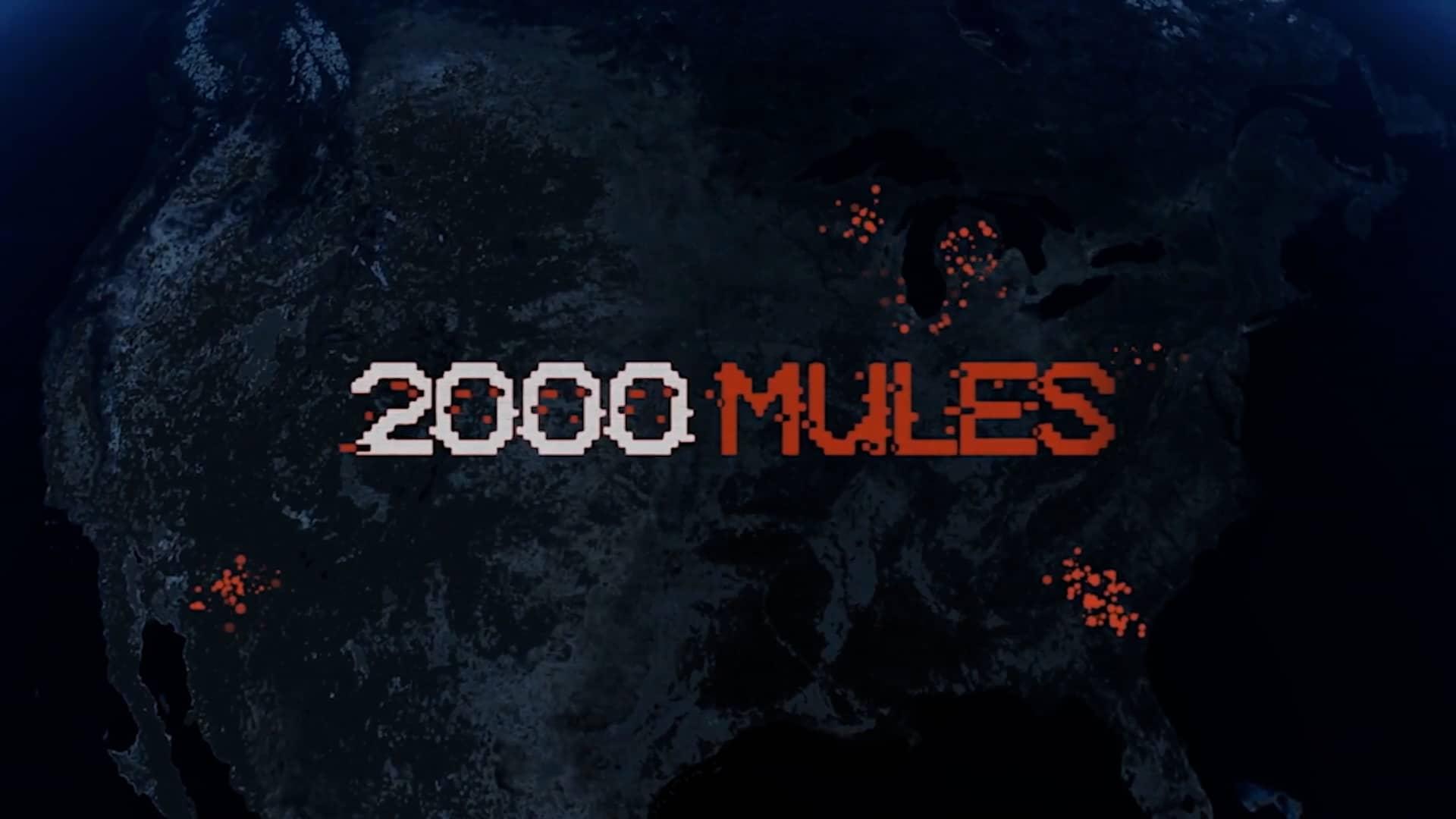 2000 Mules (2022)