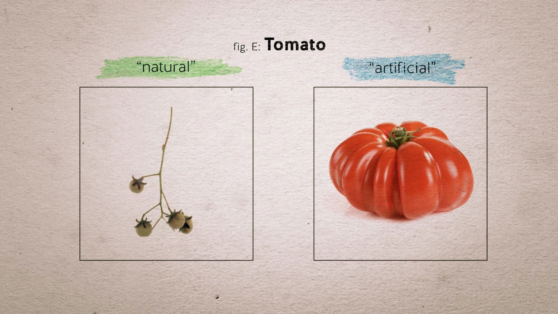 Food Evolution (2017)