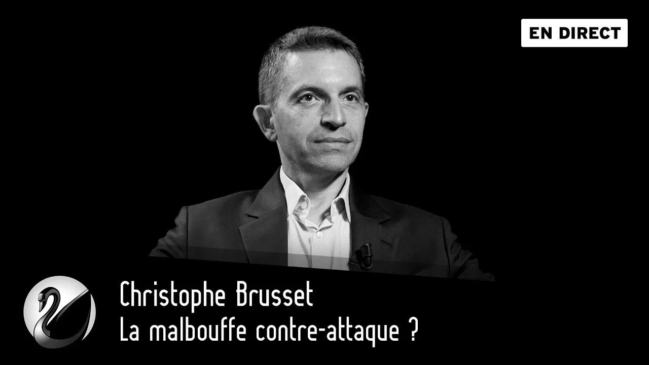 Thinkerview - La malbouffe contre-attaque ? Christophe Brusset