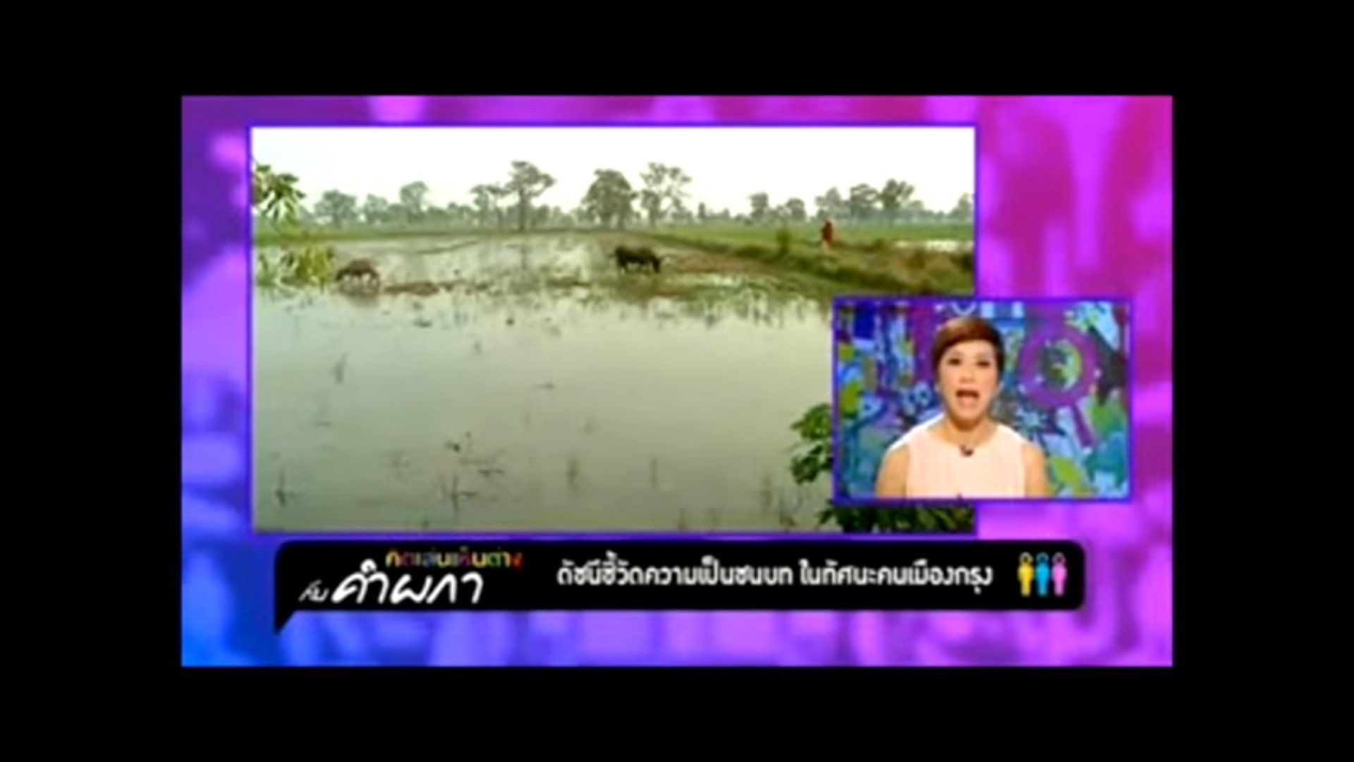 I'm Gonna Be a Farmer/Naive Backdrop Blur