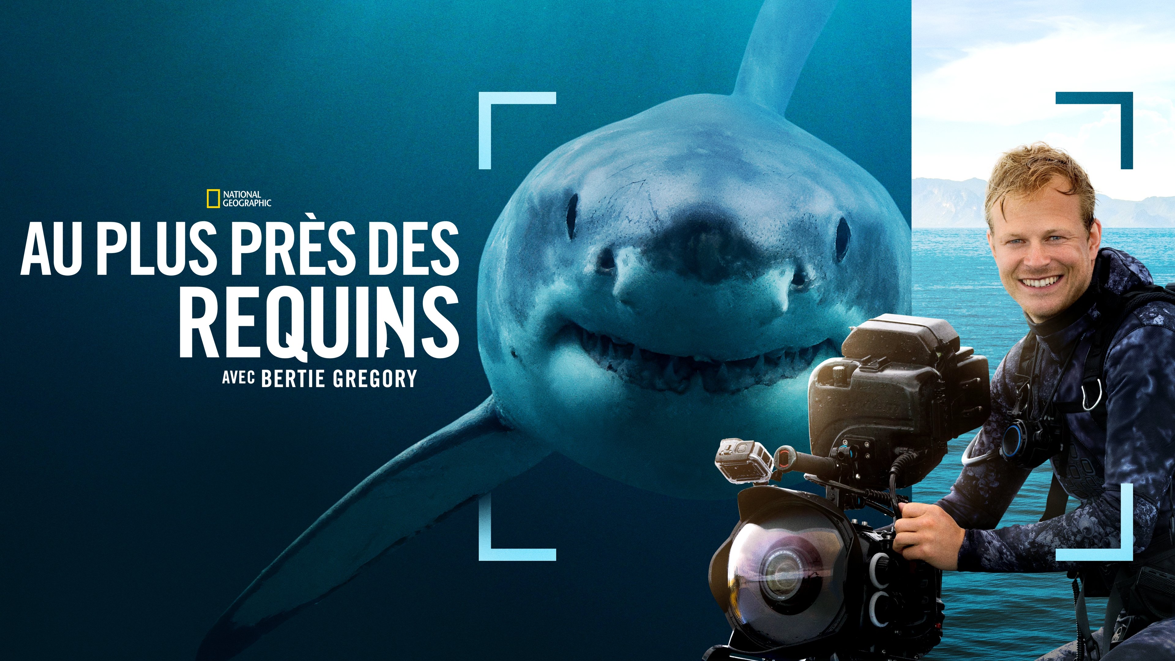 Sharks Up Close with Bertie Gregory backdrop