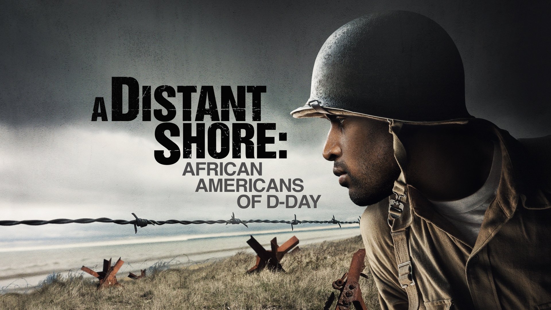 A Distant Shore: African Americans on D-Day (2007)