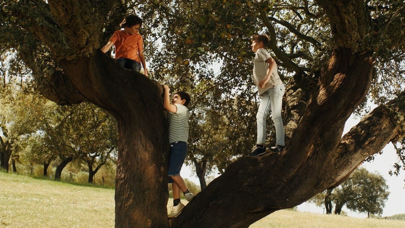 Sara, Manuel e João (2024)