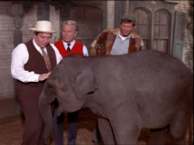 Green Acres