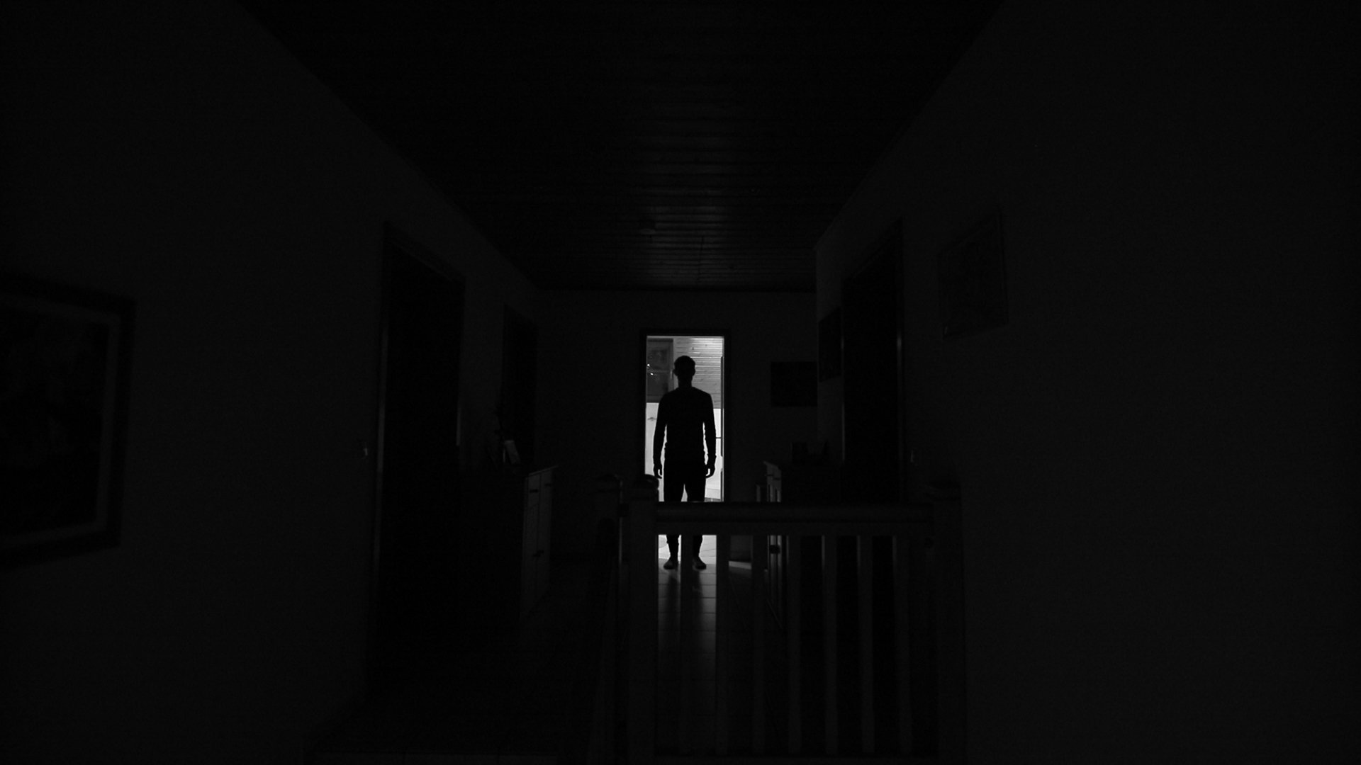 Lost In The Shadows ()