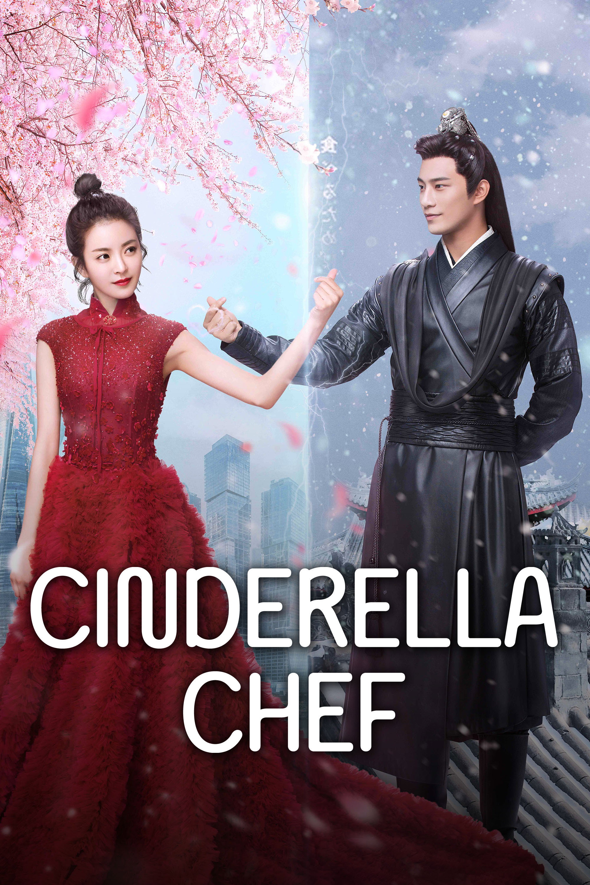 Cinderella Chef Poster