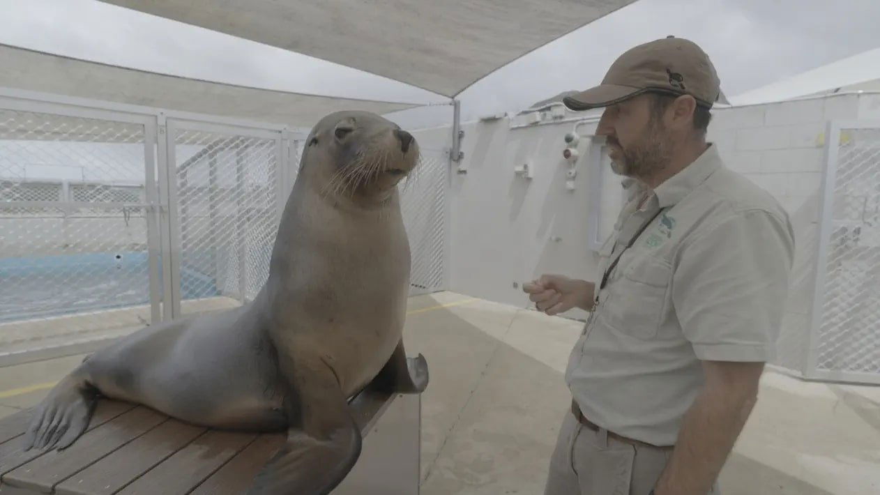 Taronga: Who's Who In The Zoo - Épisode 7