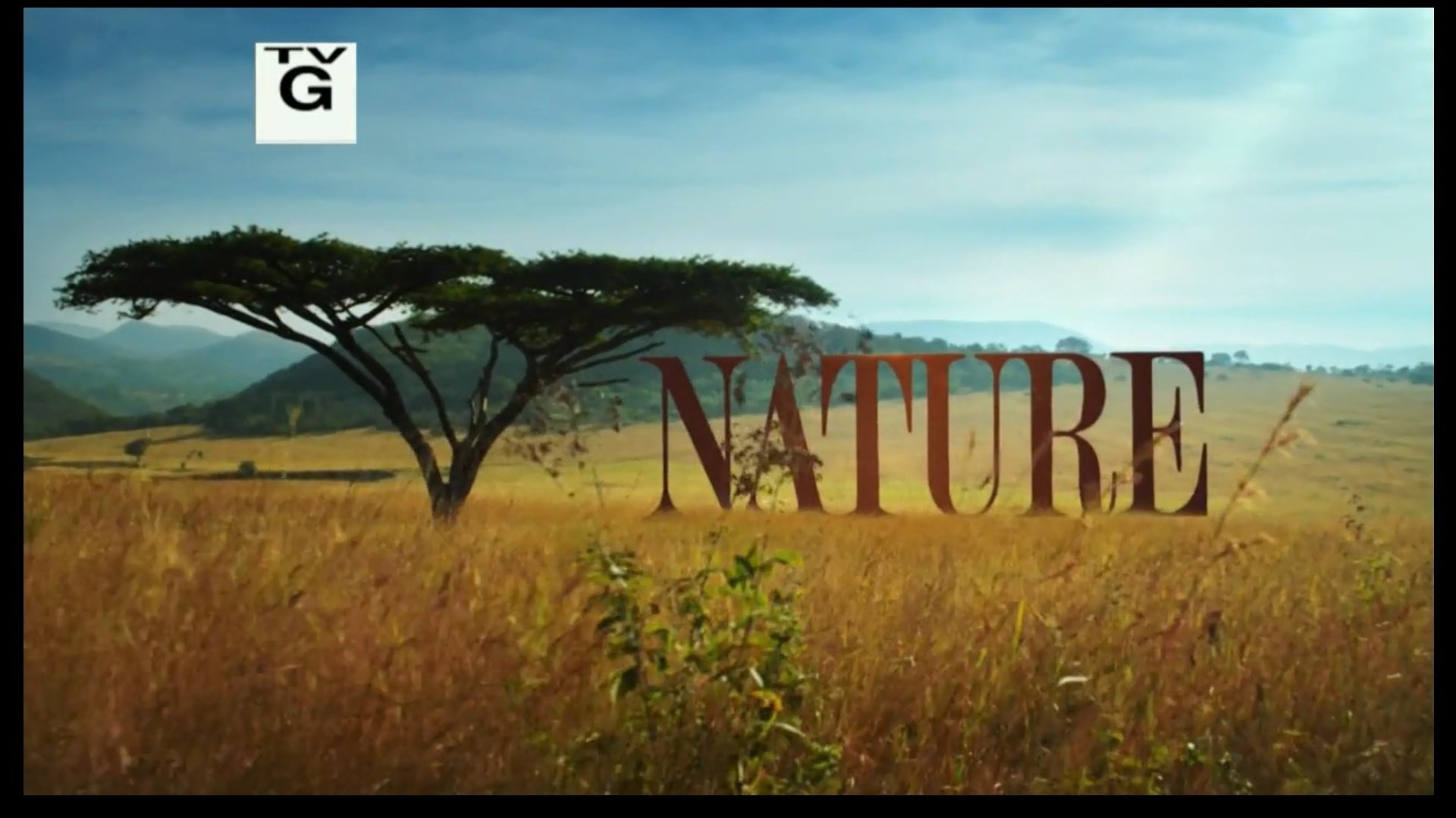 Nature: Yosemite (2017)