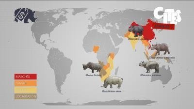 Mapping the World