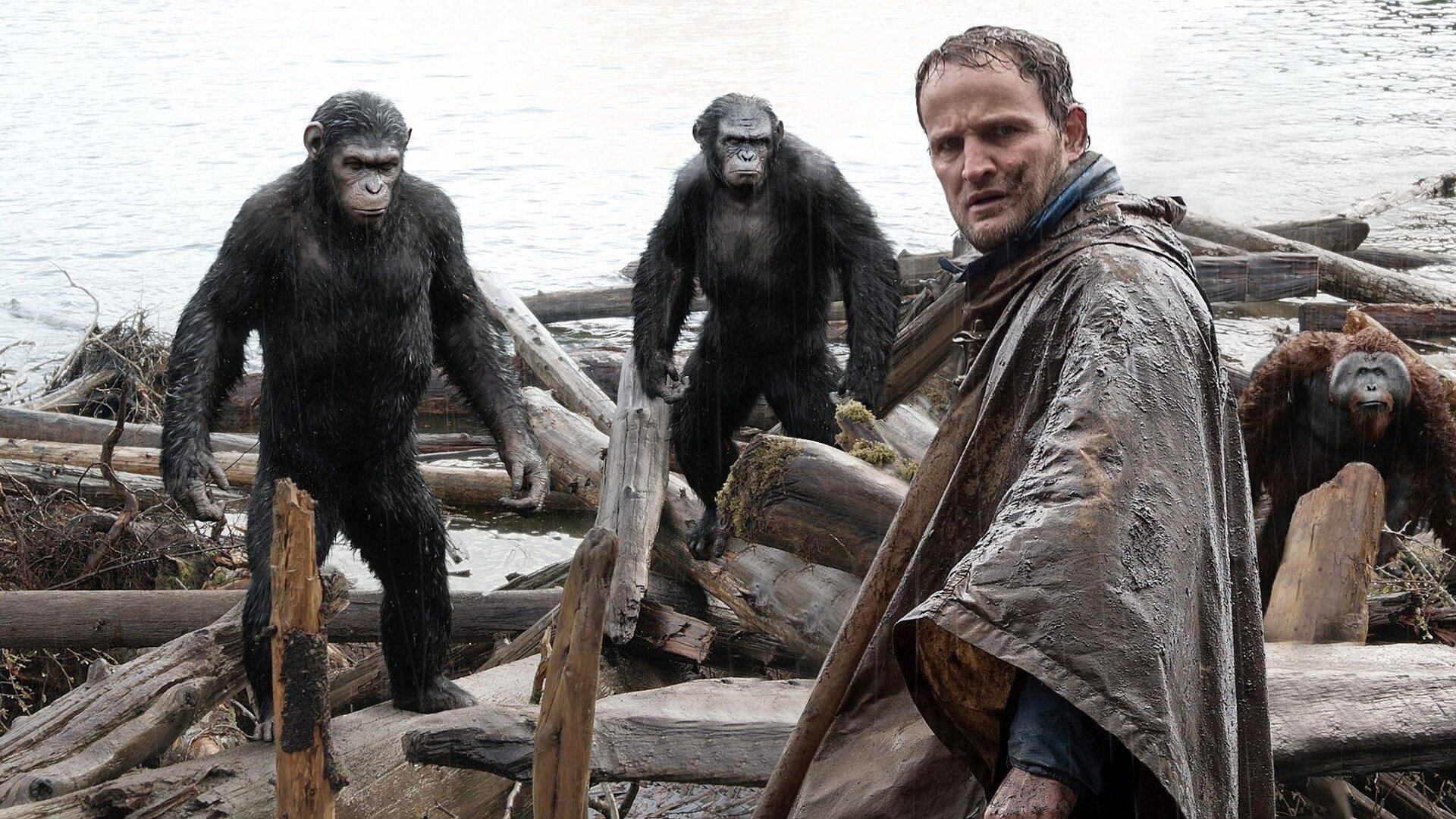 Dawn of the Planet of the Apes (2014)