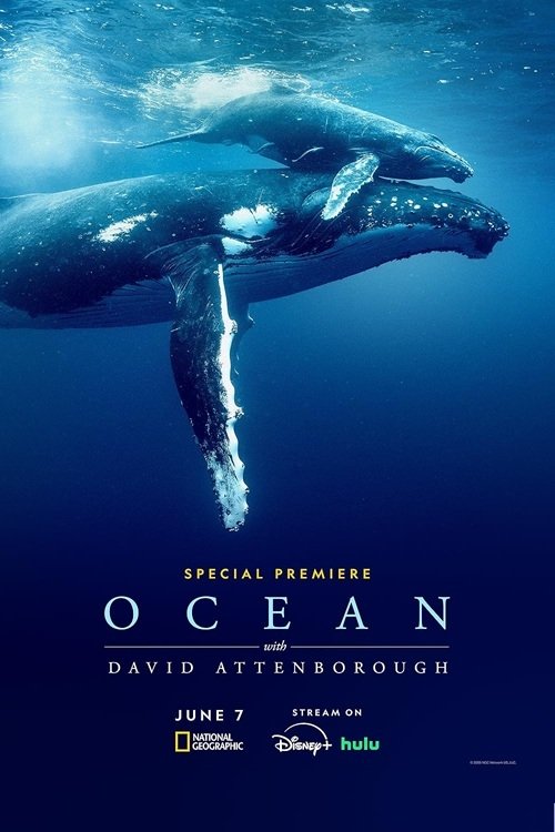 EN - Ocean With David Attenborough (2025) (MULTI SUB)