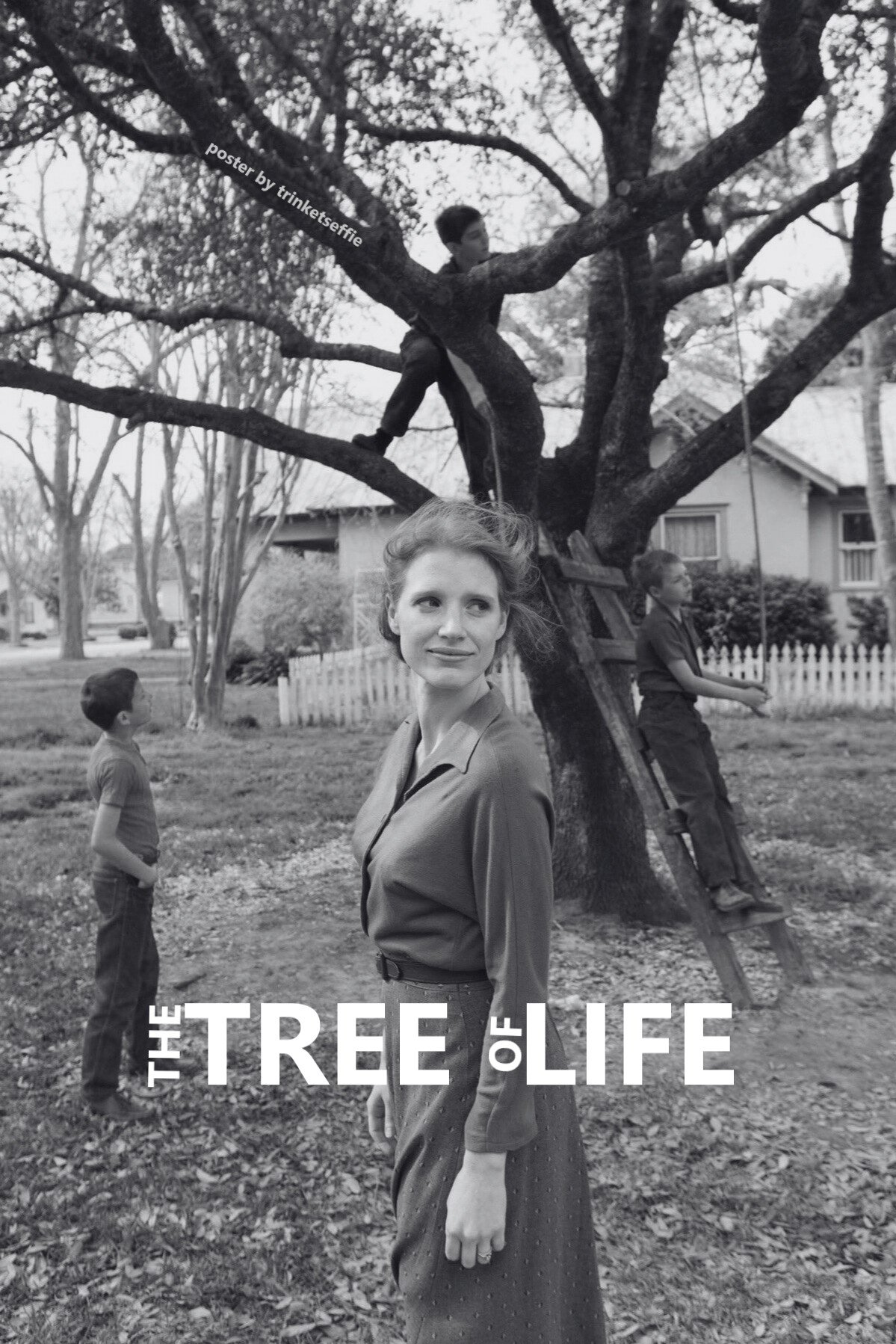 The Tree of Life