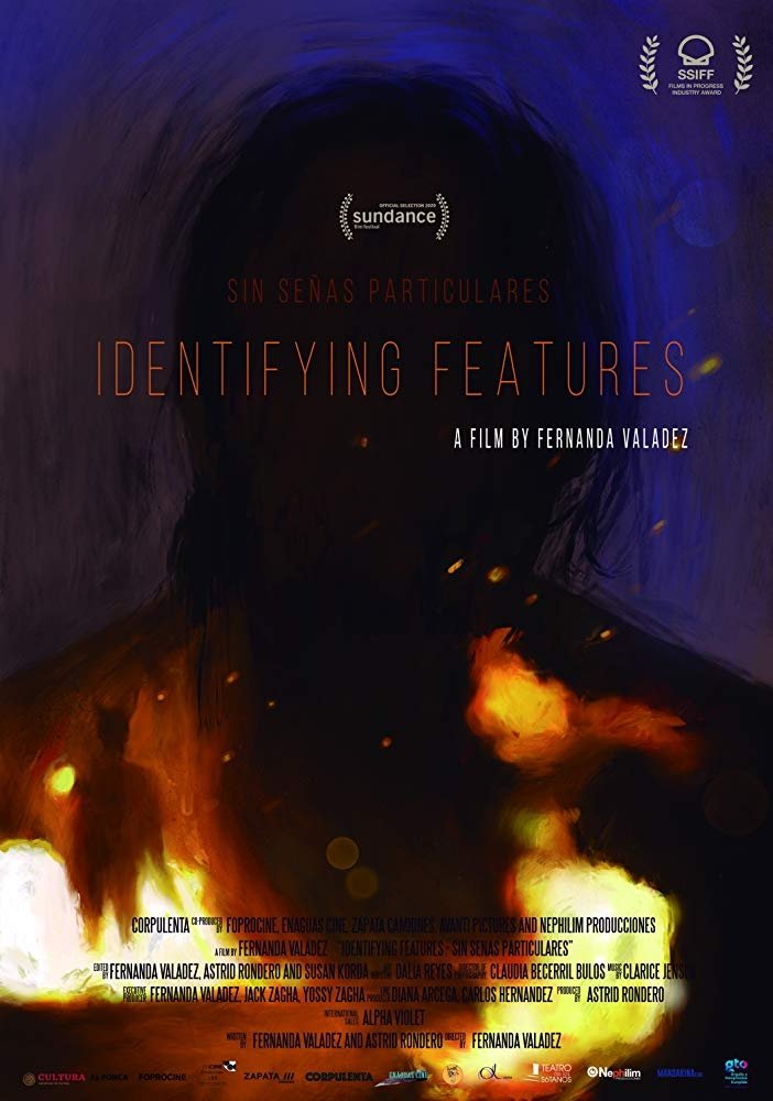 Identifying Features