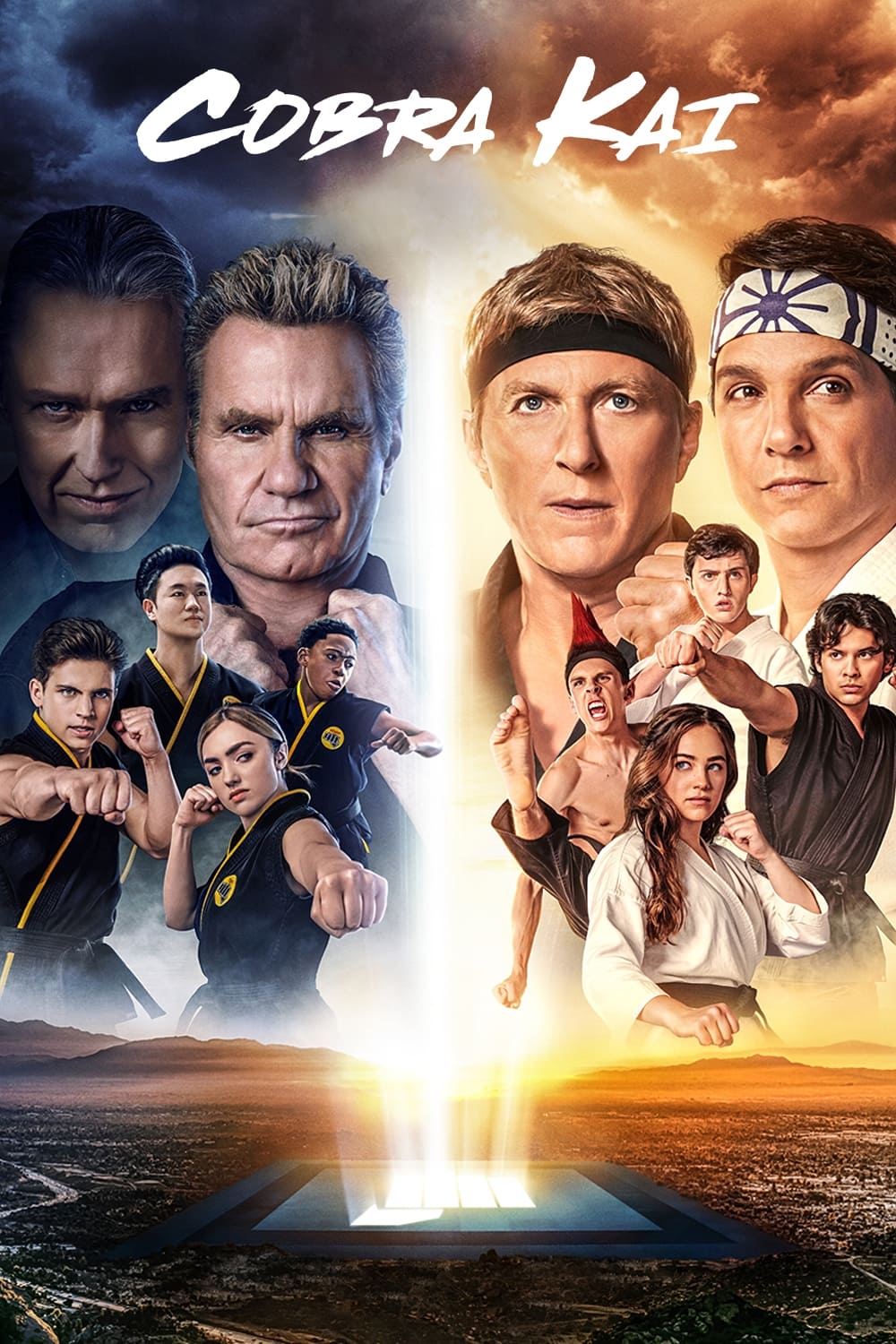 Cobra Kai TV Shows About Father Son Relationship