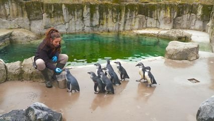 Expédition Pairi Daiza - Épisode 2