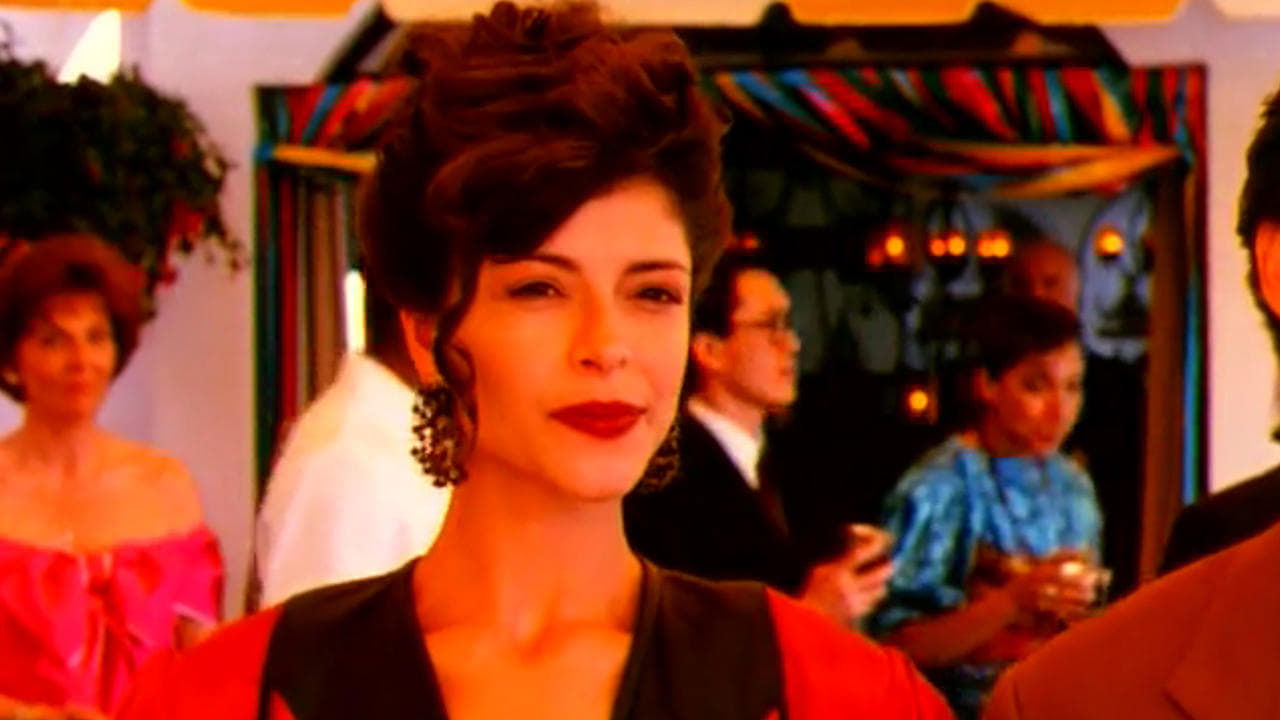 Montreal Stories (1991)